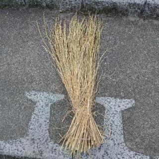 稲  藁 わら  (有機無農薬) 1把の画像