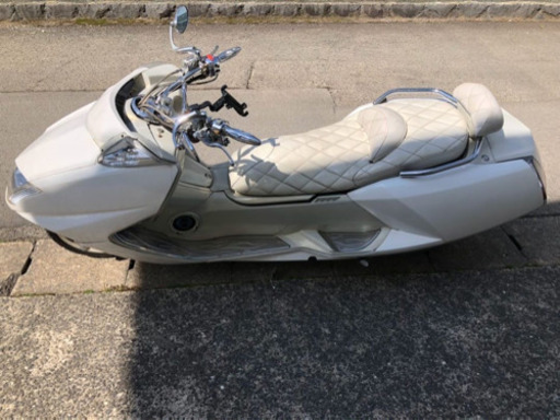 マグザム250❗️