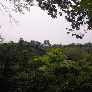 楽しいウォーキング(歴史散策) - 甲府市
