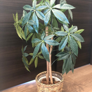 フェイクグリーン　観葉植物