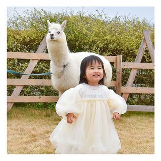 アルパカ・パカ写真館　11/14(土)