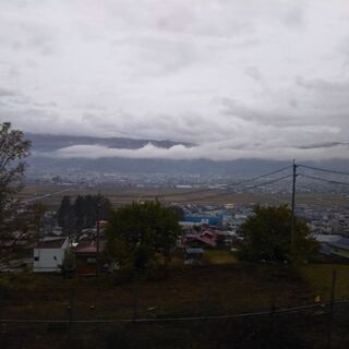 🐰旅の話をしませんか？ - 友達