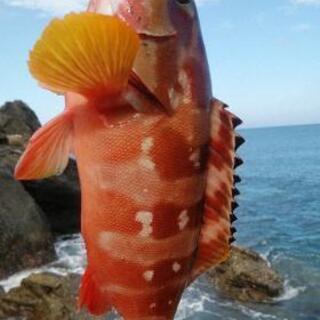 ショアジギング釣りメンバー募集！ - メンバー募集