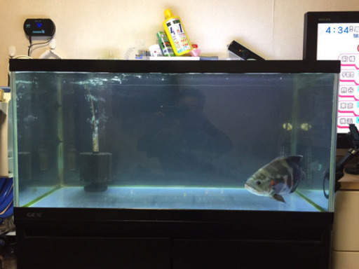 値下げしました！90cm水槽.水槽台等フルセット