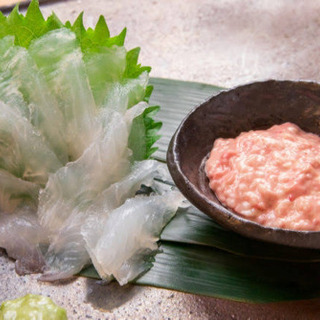 釣りに行こう！カワハギ狙い - スポーツ