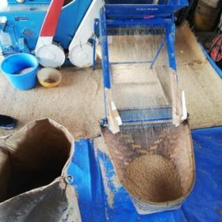 天日干し…ひかり新世紀、玄米30 kg6000円の画像