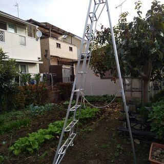 園芸用三脚脚立を売ります。