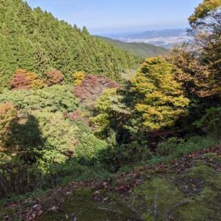 釣り仲間を募集中です