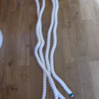 ターザンロープ　お譲りします。の画像