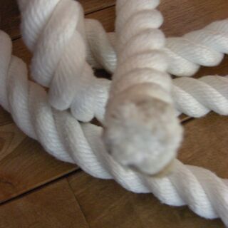 ターザンロープ　お譲りします。の画像