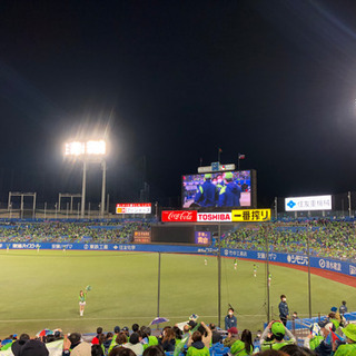 ヤクルトスワローズファン大募集！!