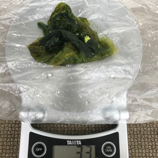 ウィローモス