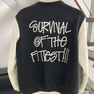 STUSSY30周年記念　APEコラボの画像