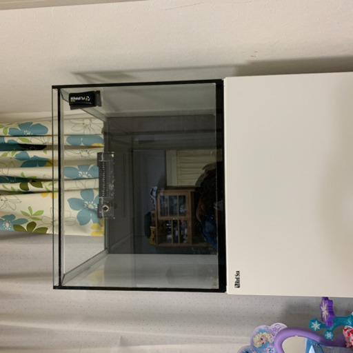 オーバーフロー水槽