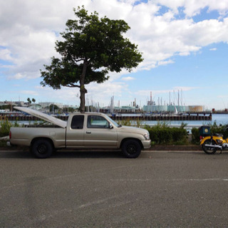 ハイラックス　トノカバー