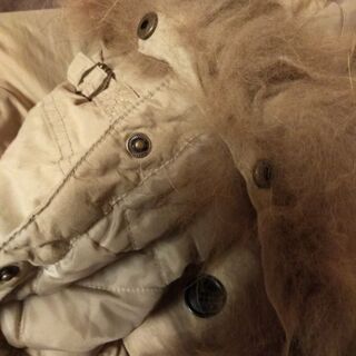 モッズコートの画像