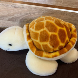 美ら海水族館のカメのぬいぐるみの画像
