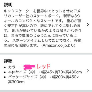 SOLE  SKATE  ソールスケート (中古品)の画像