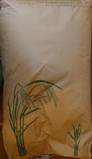 【令和２年度産新米ミネアサヒ】旧額田町産　玄米３０キロ