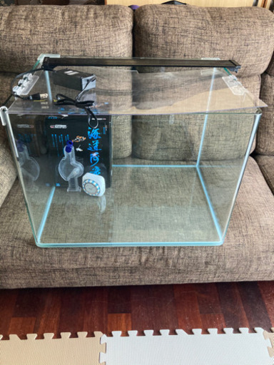 お買い得品 購入決定しました！ 水槽セット（引き取り限定） 引き取り