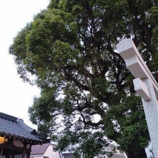占い友達募集