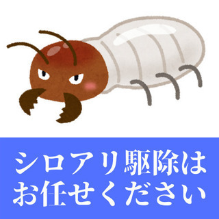 【無料点検あり！】さいたま市内のシロアリ駆除のオトモに！最短即日...