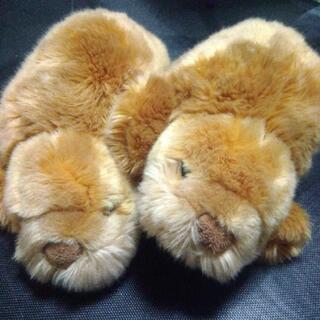 セイウチ ぬいぐるみ おもちゃの中古が安い！激安で譲ります