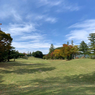 平日⛳️ゴルフ⛳️できるアラフォー募集♪
