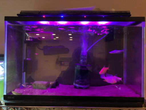 水槽セット 60cm