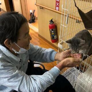 介護士募集の画像