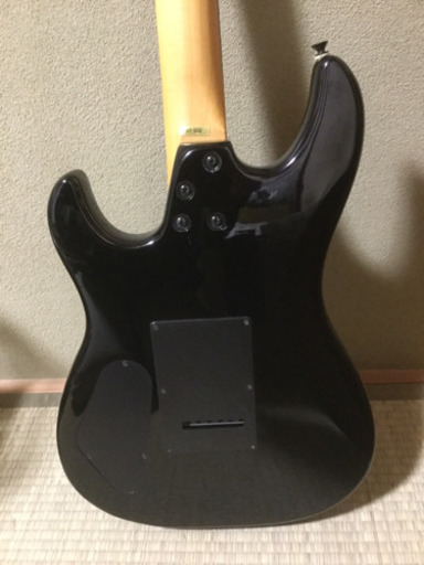 Aria Pro Ⅱ THE WARRIOR アリアプロ エレキギター ブラック
