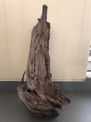 流木　90cm水槽サイズ