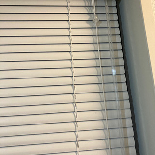 ブラインド カーテン 11/3〜11/14の画像
