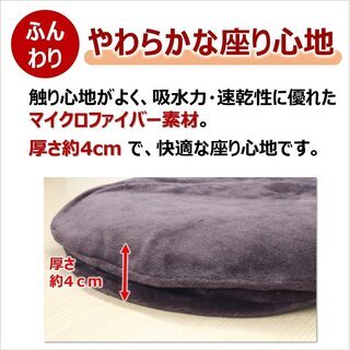 ★新品★日立★丸型ホットマルチクッションの画像