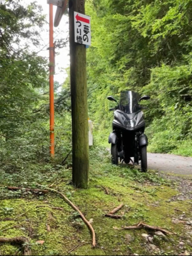 トリシティ155トライク登録の為自動車免許で乗れます