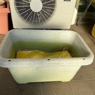無料！植木鉢　プラスチック