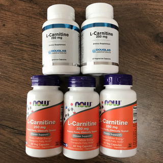 【残りわずか】カルニチン　240粒