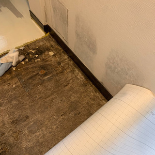 年末大掃除フェア。網戸替え激安の画像