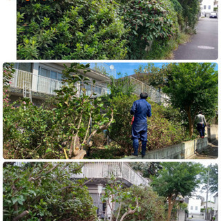 庭の手入れ　木の剪定、伐採/抜根 草刈致します。所沢市　入間市〜