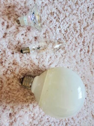 変わり種　電球　1つ¥1000