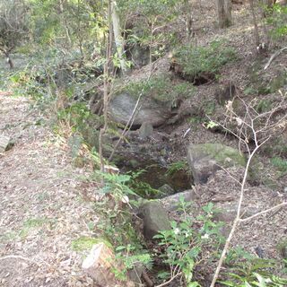 沢有り！平坦地有り！”11,262㎡”の広大山林！ - 可児郡