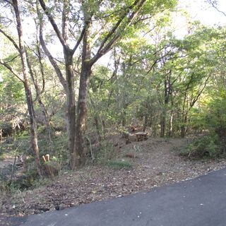 沢有り！平坦地有り！”11,262㎡”の広大山林！ - 土地販売/土地売買