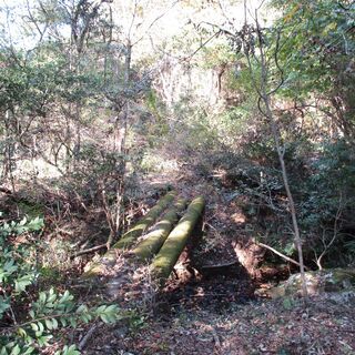 沢有り！平坦地有り！”11,262㎡”の広大山林！ - 不動産