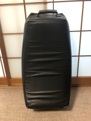 マーシャルワールド　軽量　ビッグミット　空手　美品