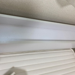 セミダブルベットの画像