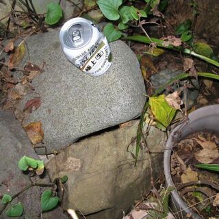 庭石いろいろの画像