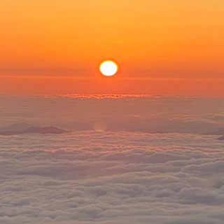 朝散歩　朝ラン
