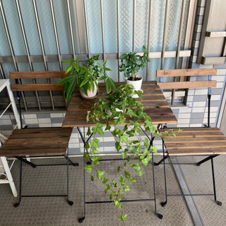 ガーデンセットとパラソルの画像