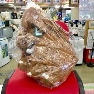 未開封品 JELLYCAT Maximus Mammoth ジェ...