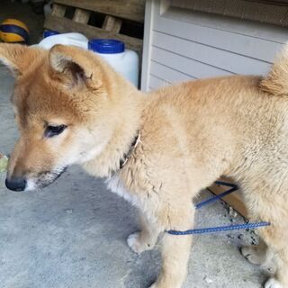 友達ぼしゅう！(^^)